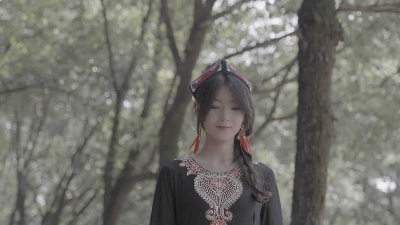 森林中的传统之美