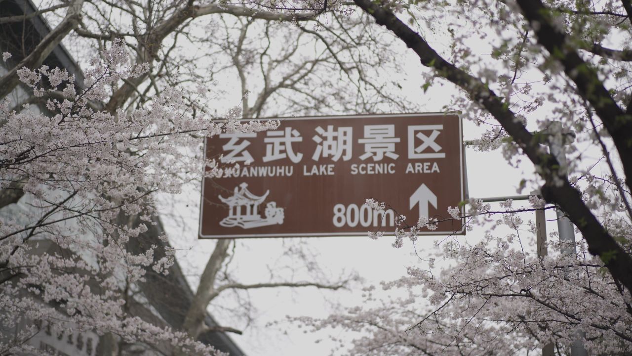 玄武湖景区