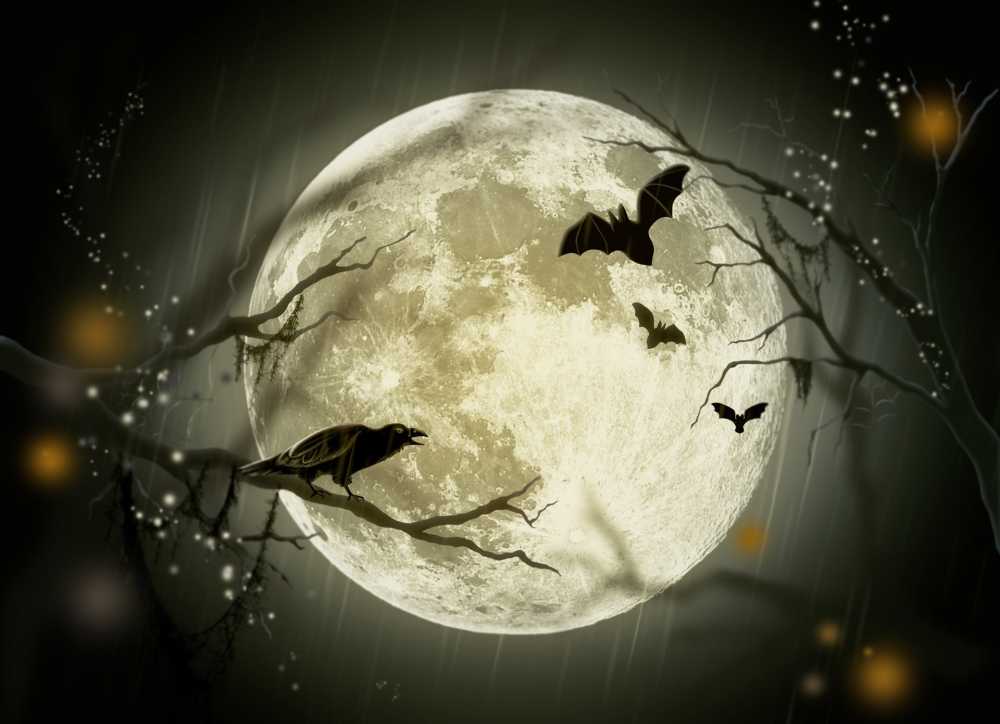 万圣节假期神秘童话故事月亮乌鸦图设计明信片