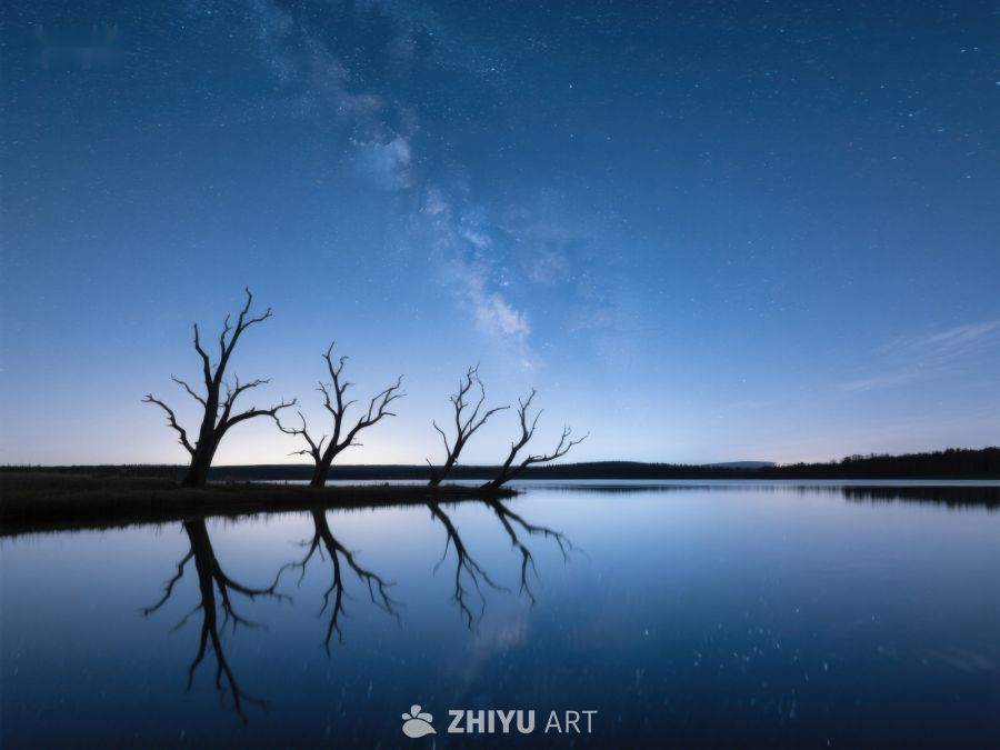 夜空下的枯树与银河倒影 352