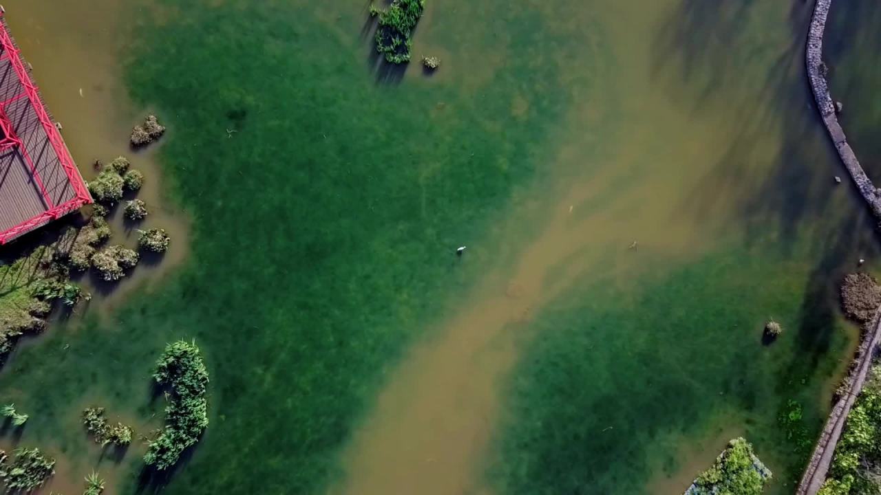 昆明月牙塘公园-9 13