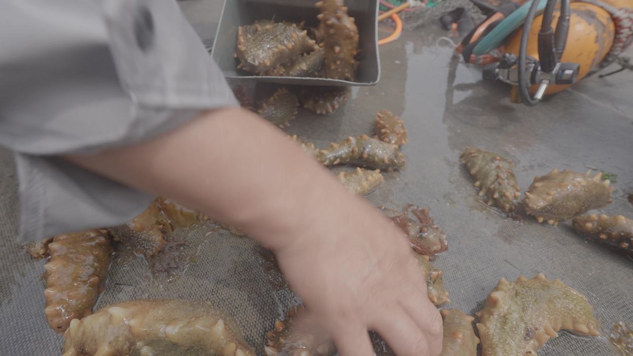 渔船捕捞海产现场