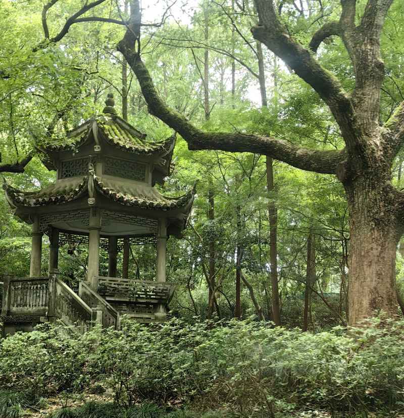 山边小亭