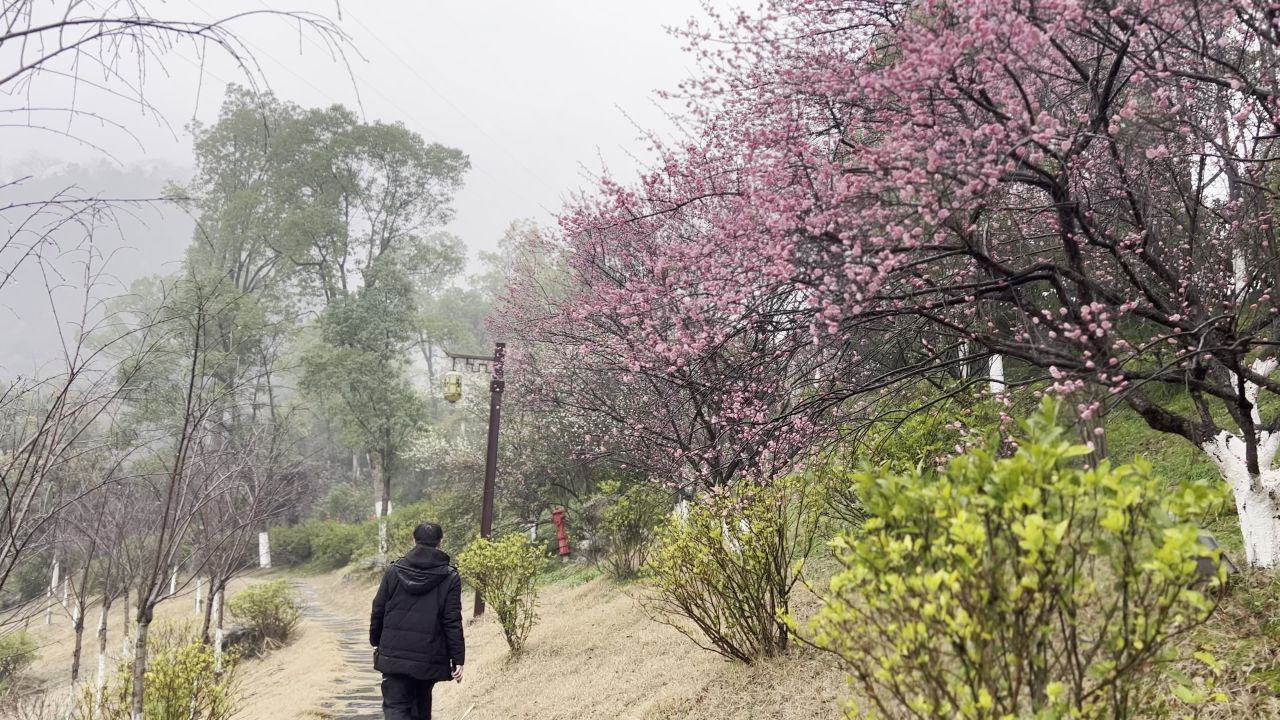 桃花源景区