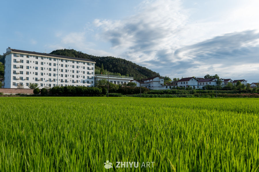 城市风景 34
