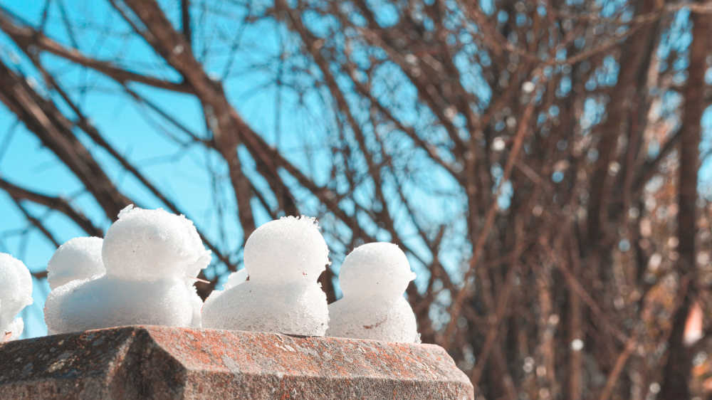 峨眉山雪