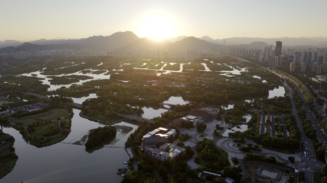 温州三垟湿地风光 33