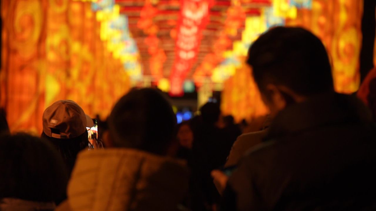 2025成都武侯祠大庙会随拍 5
