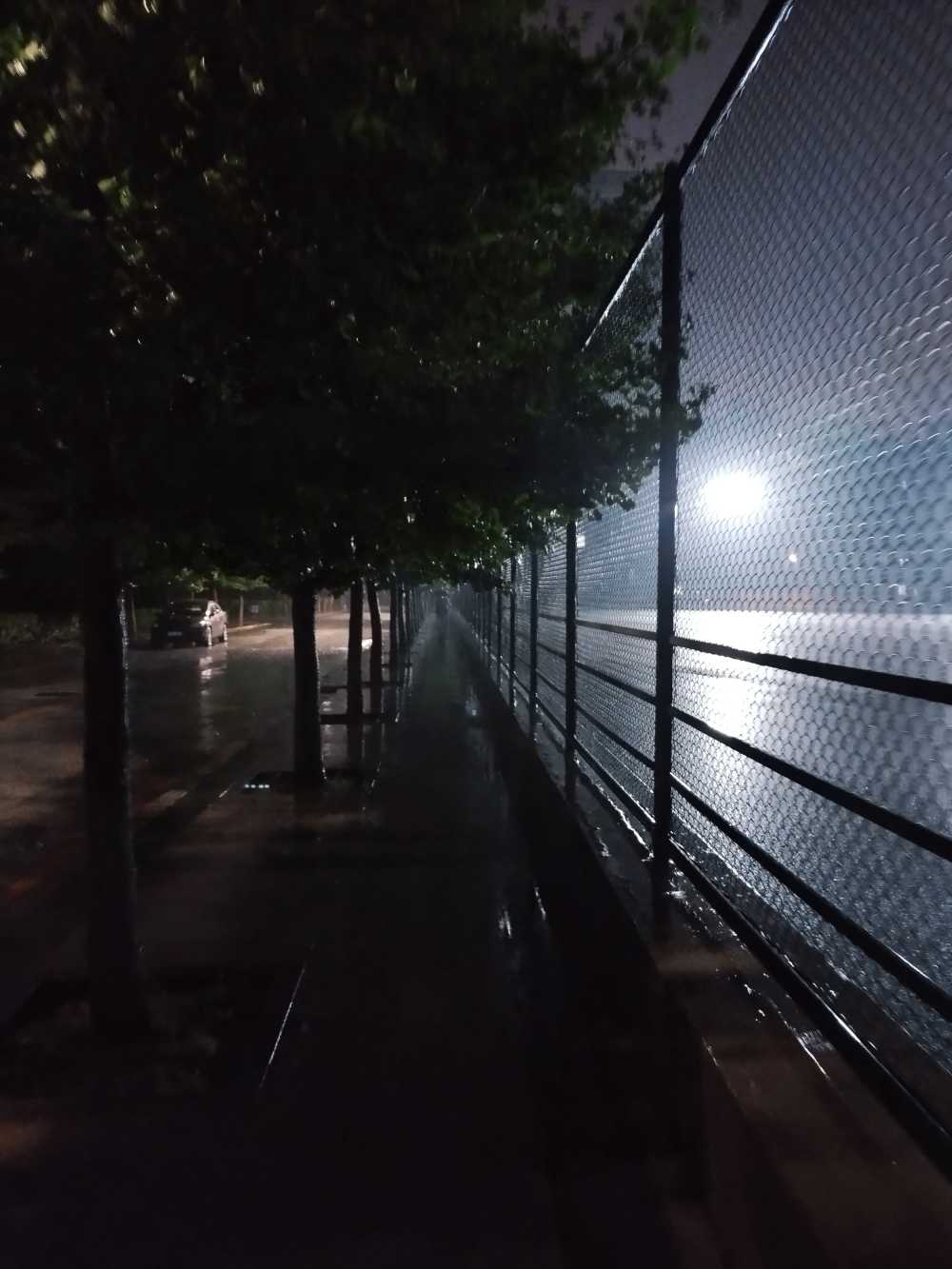 东北大学风景