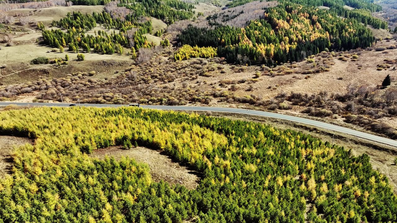 秋日多彩草原公路自驾游车流
