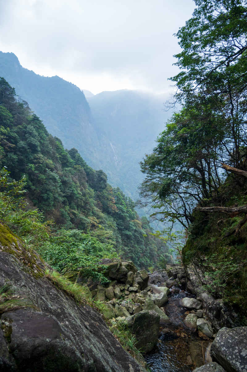 眺望山谷