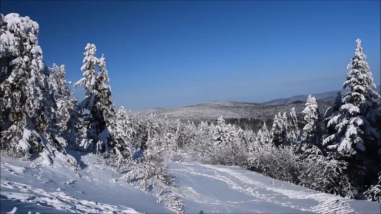 滑雪板欧洲波兰斯洛伐克