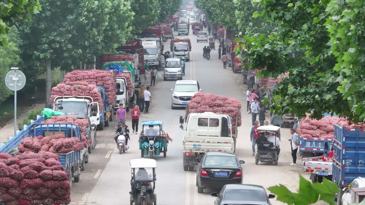 繁忙的花卉市场