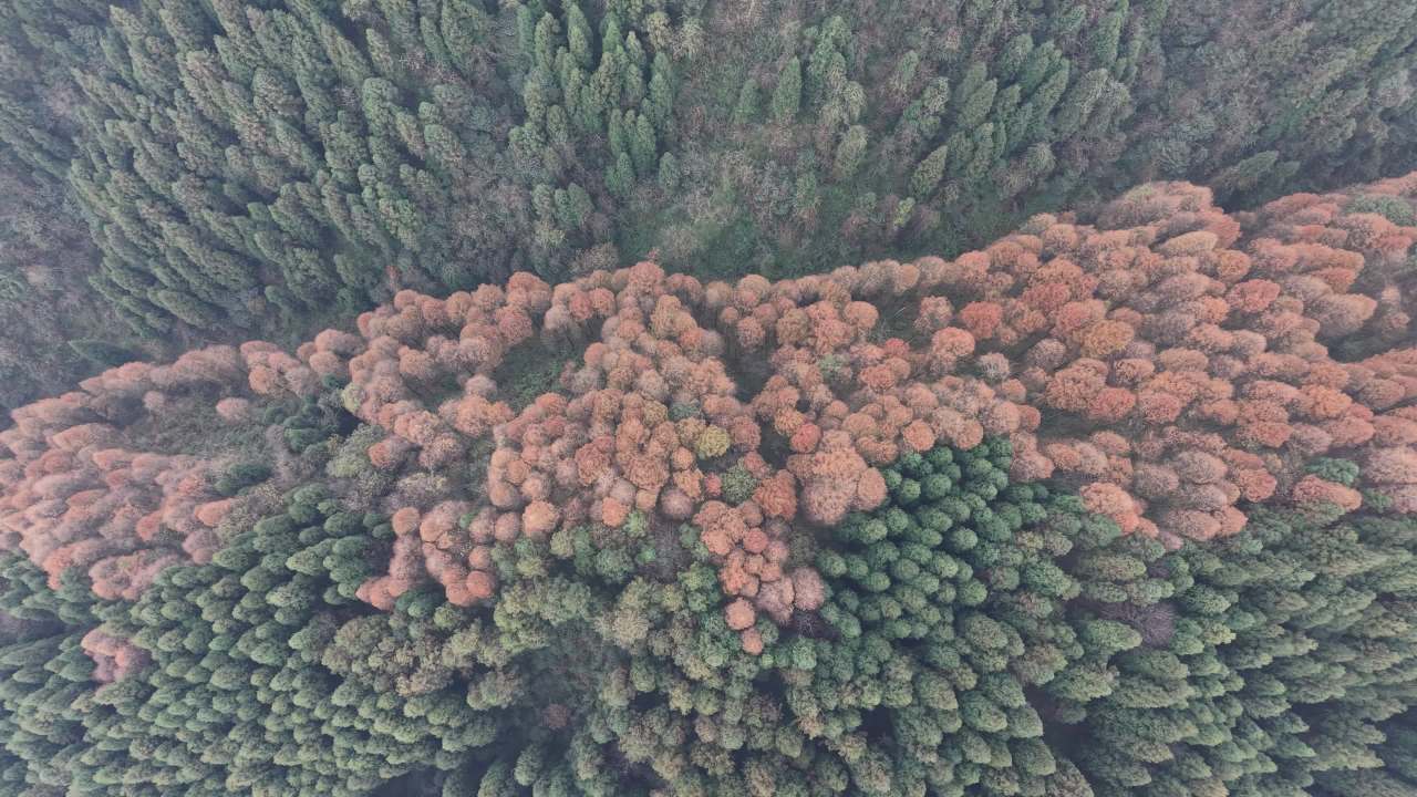 DJI_20251125133105_0025_D 10