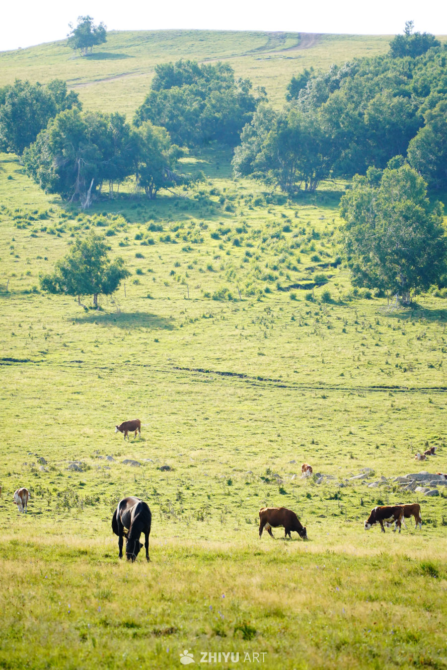 内蒙古东部小环线随拍 8
