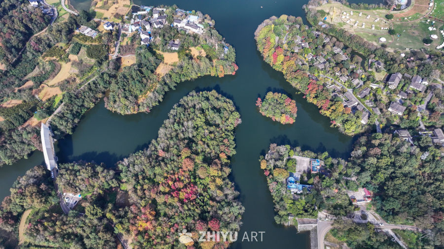 航拍水边枫叶美景  初冬枫叶似火 31