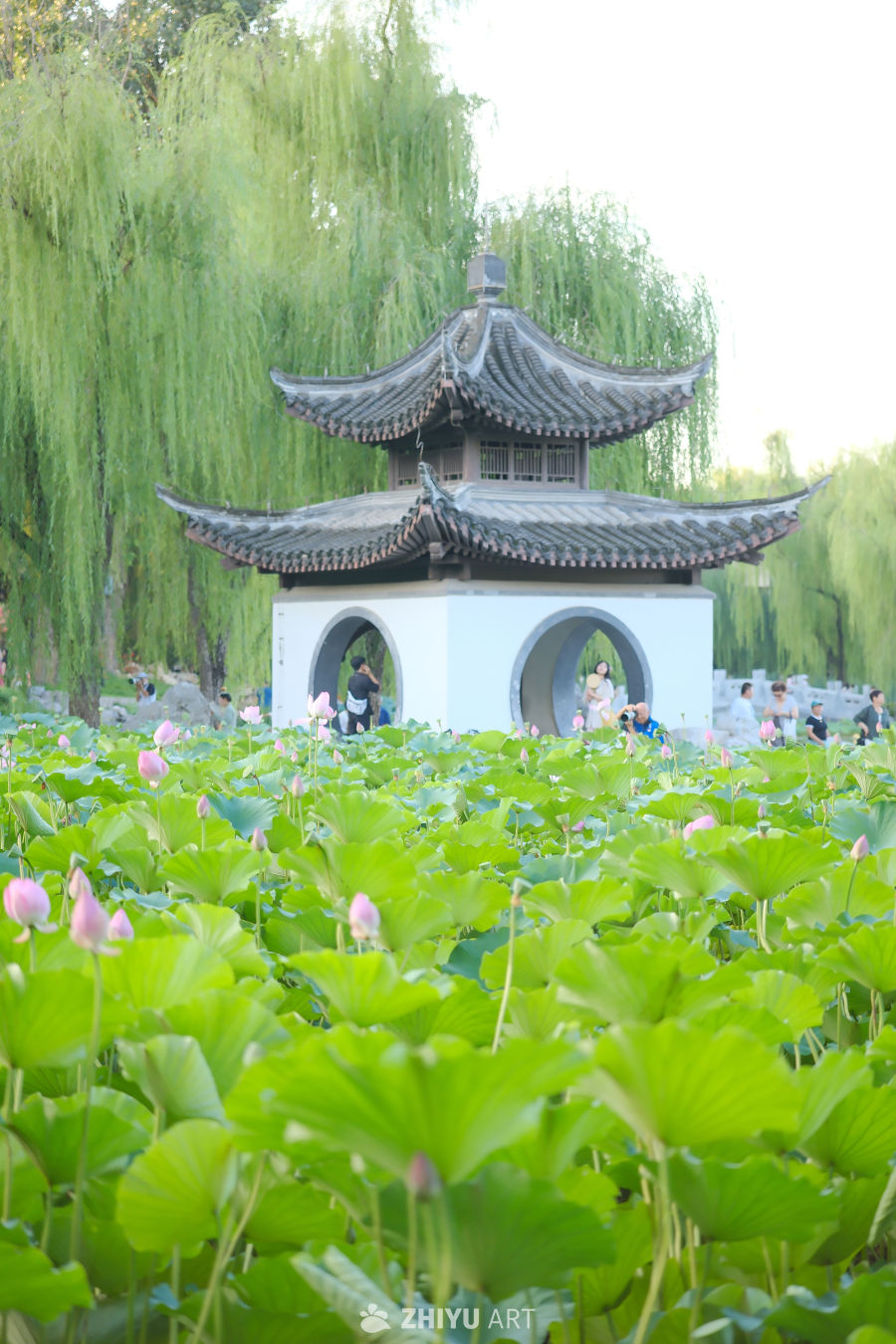 陶然亭 34