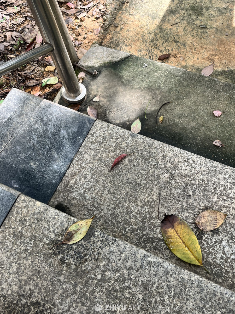 秋日阶边的静谧