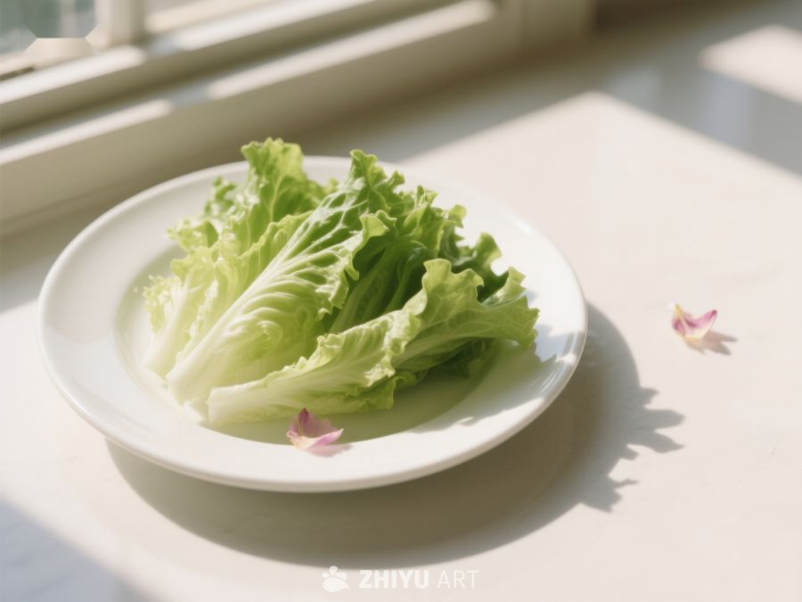 新鲜生菜置于白色盘中，阳光洒落 518