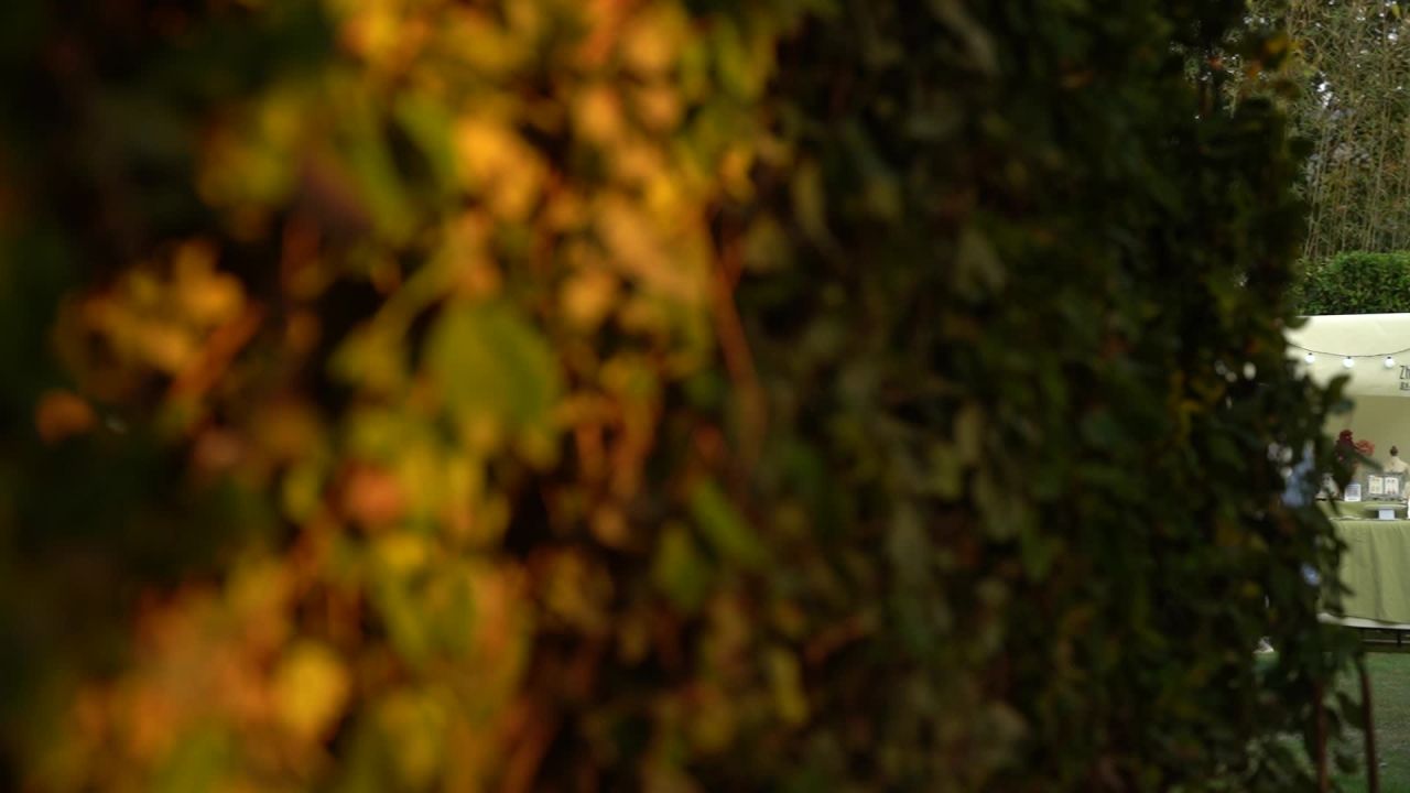 生活节 23