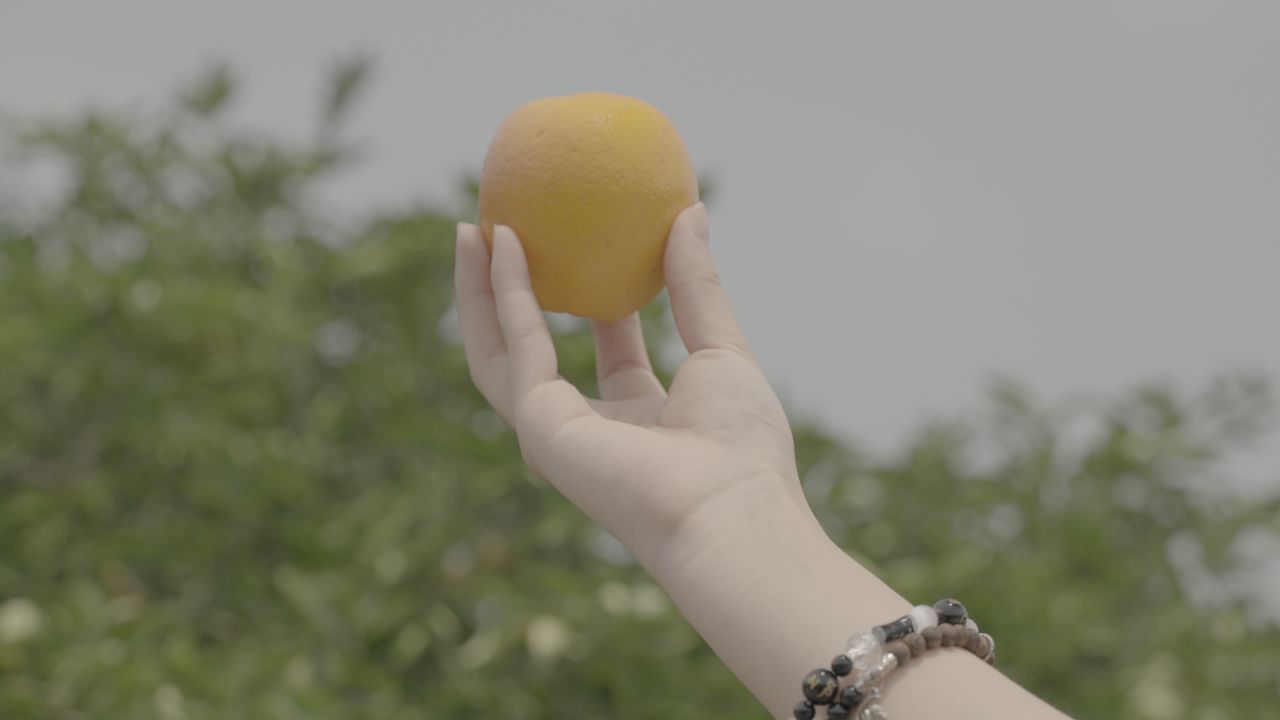 手捧橙子的宁静时光