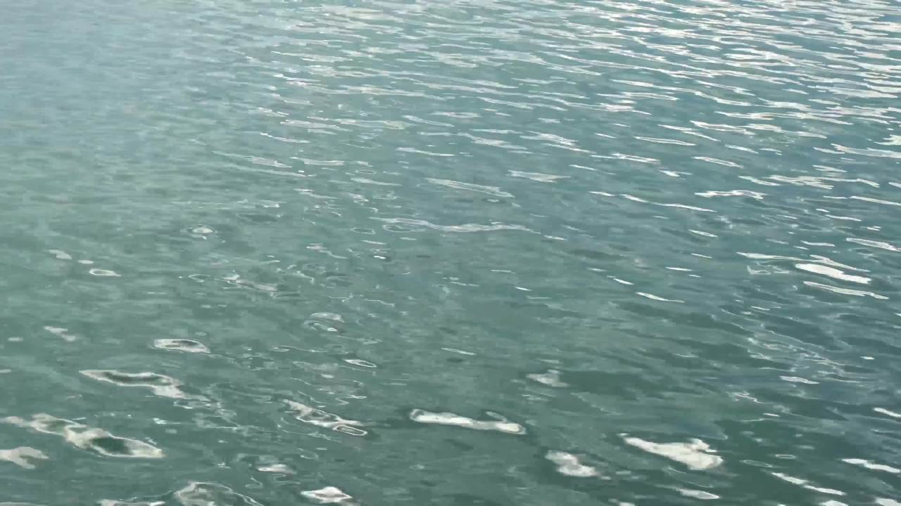 静谧的水面