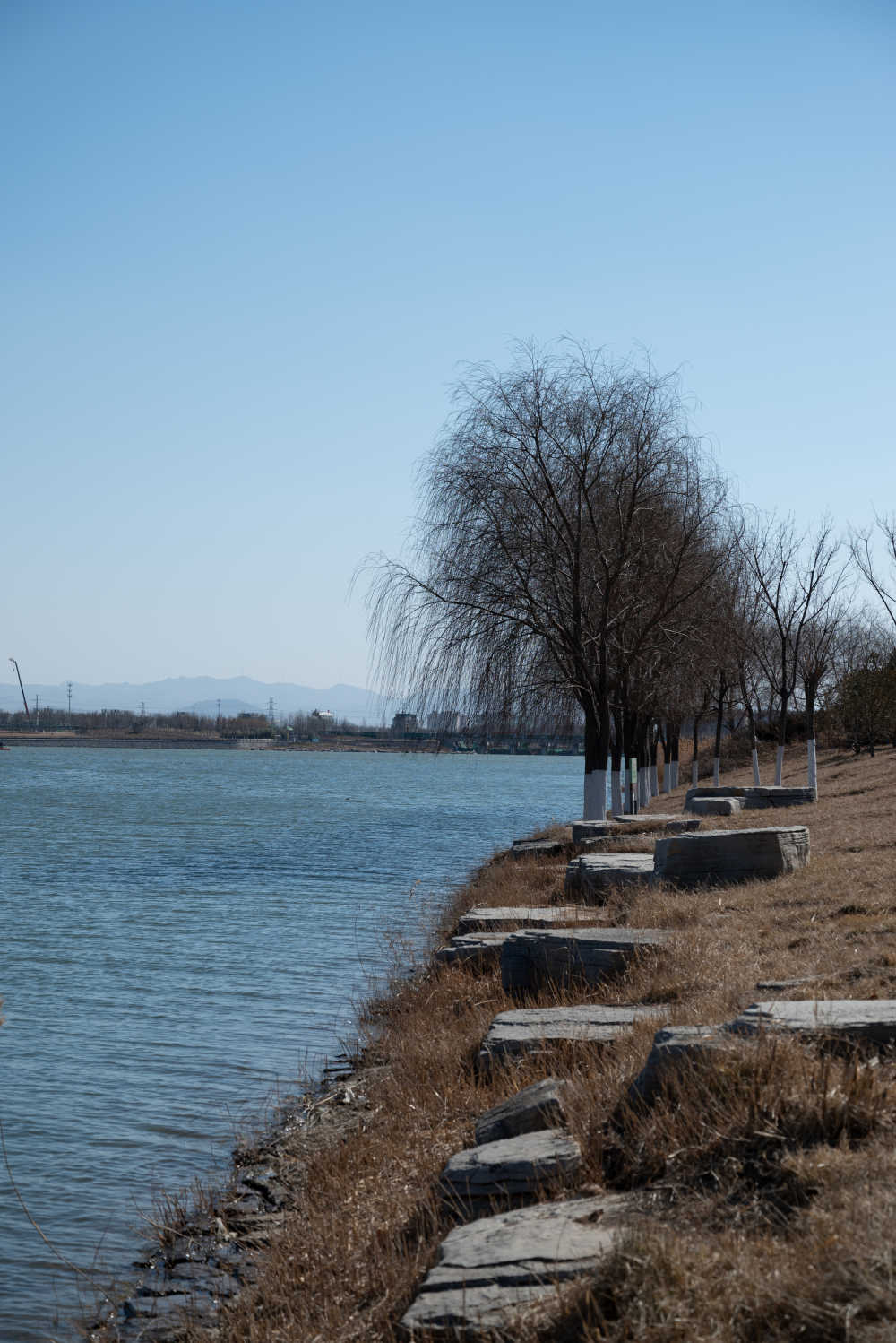 河边风景 8