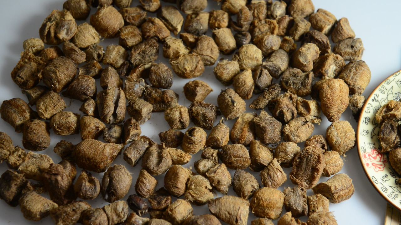 中药材桑螵蛸 25