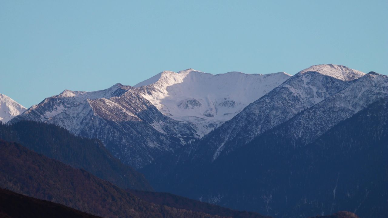 雪山飞狐