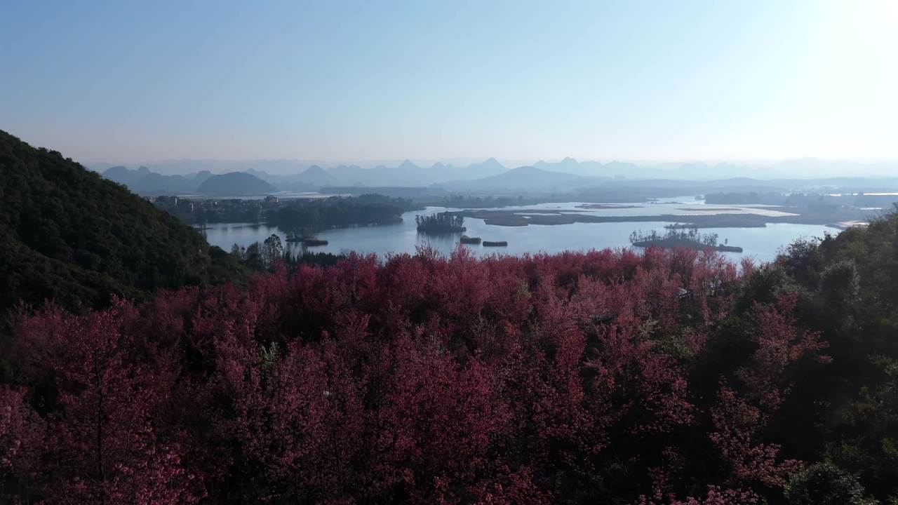 湖畔静谧