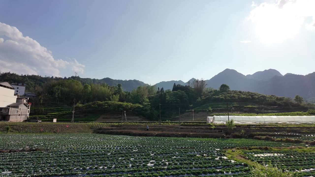 窗外 33
