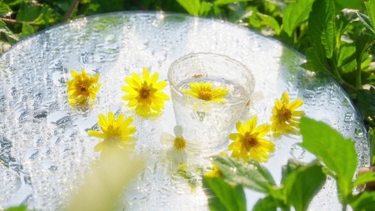被子里的小黄花