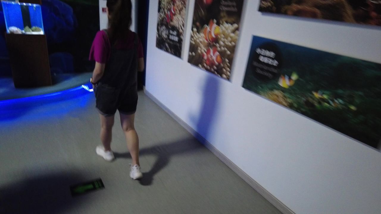 短视频创作者小城市乡村旅游活动记录素材