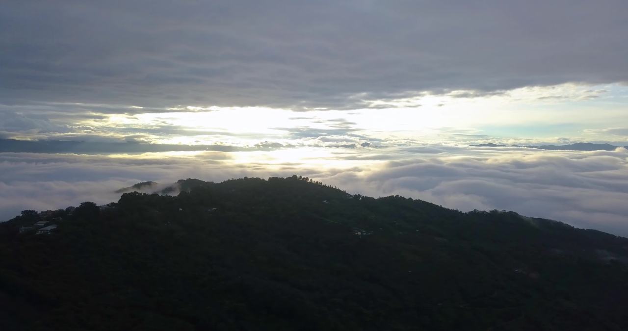 15景迈山茶林茶山云海日出唯美画面航拍