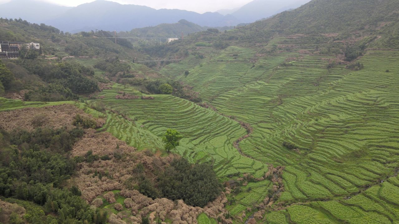 江西婺源篁岭风景区 12