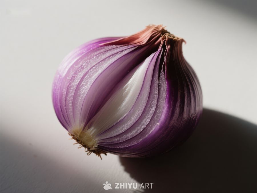 紫色洋葱的光影特写 742