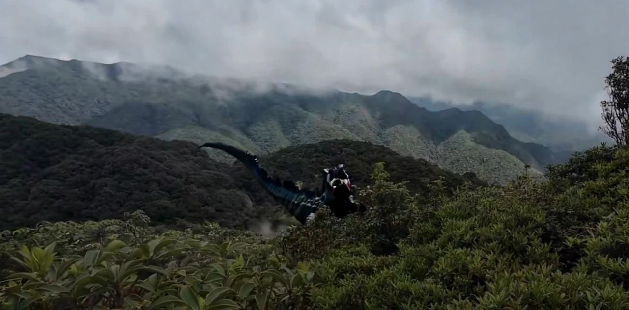 山间云雾缭绕的原始森林山峰
