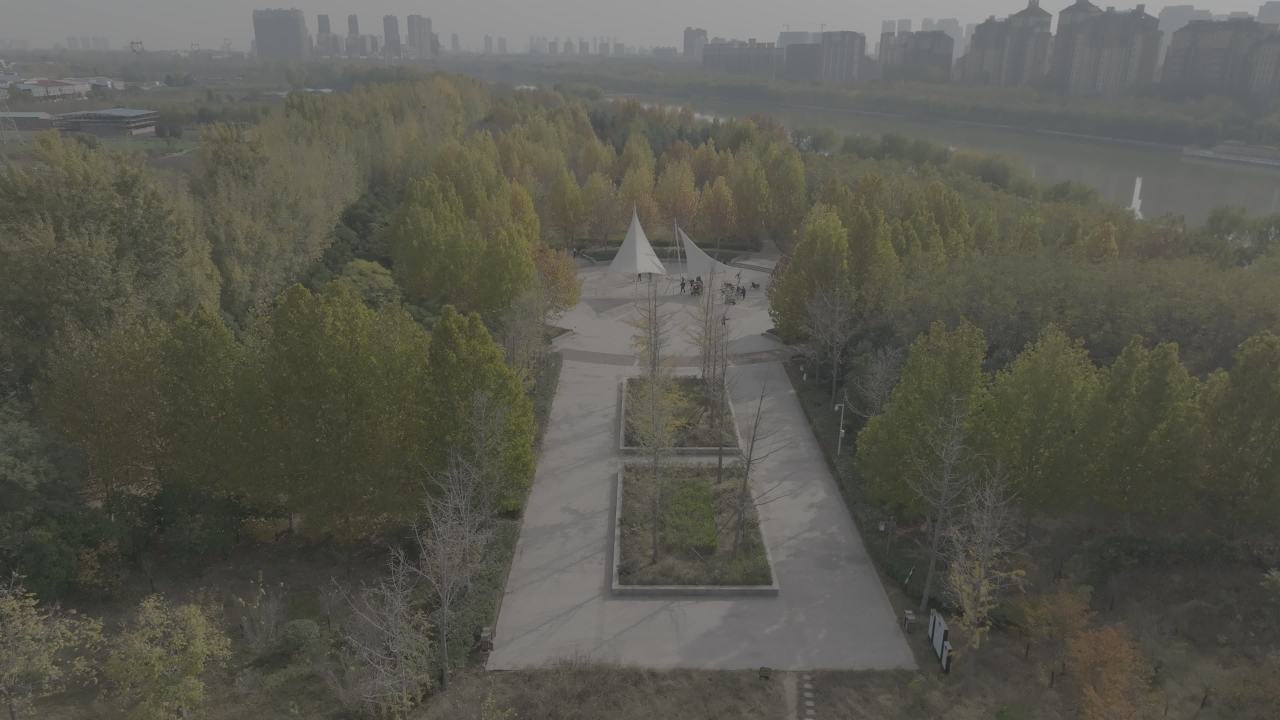 城市中的绿洲