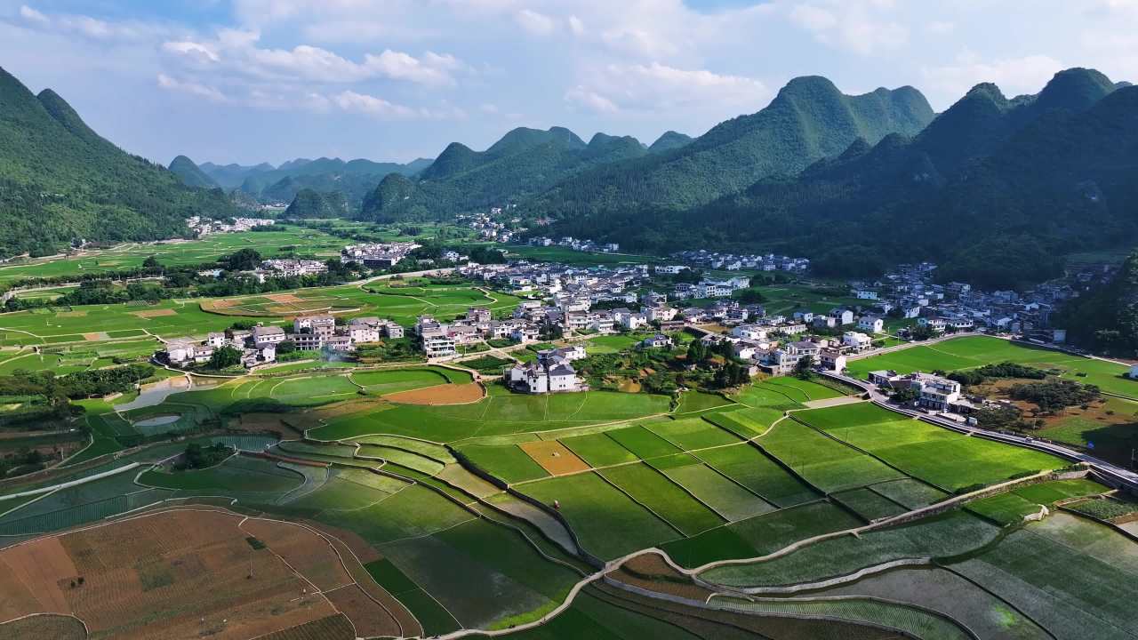 4k航拍夏日蓝天白云绿色稻田 美丽乡村