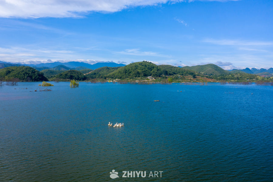 湖畔静谧时光