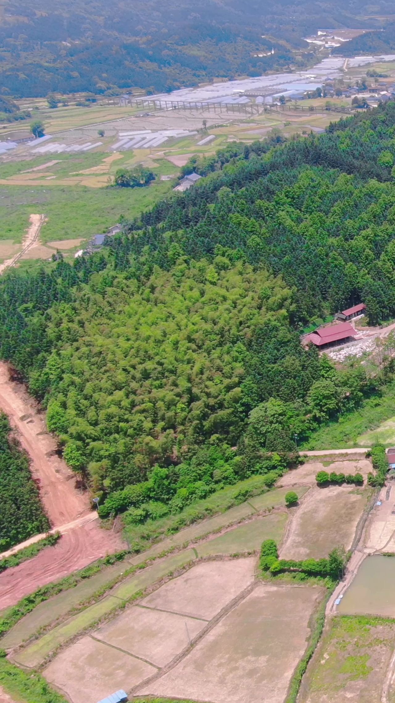 湖南 山川 丘陵 农田 竖屏 航拍
