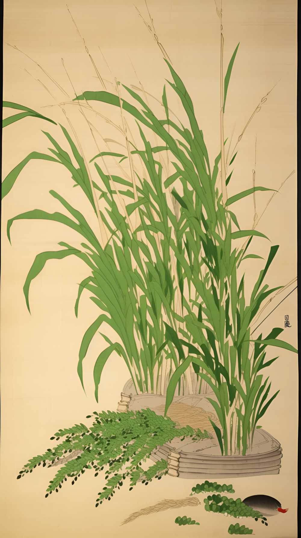 绿植物1