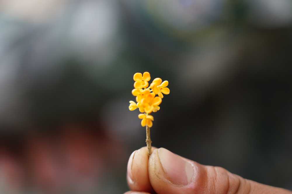 小花