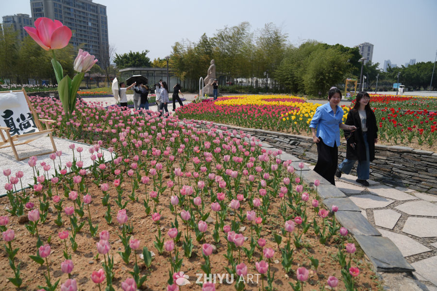 春日花海：城市公园的悠闲时光