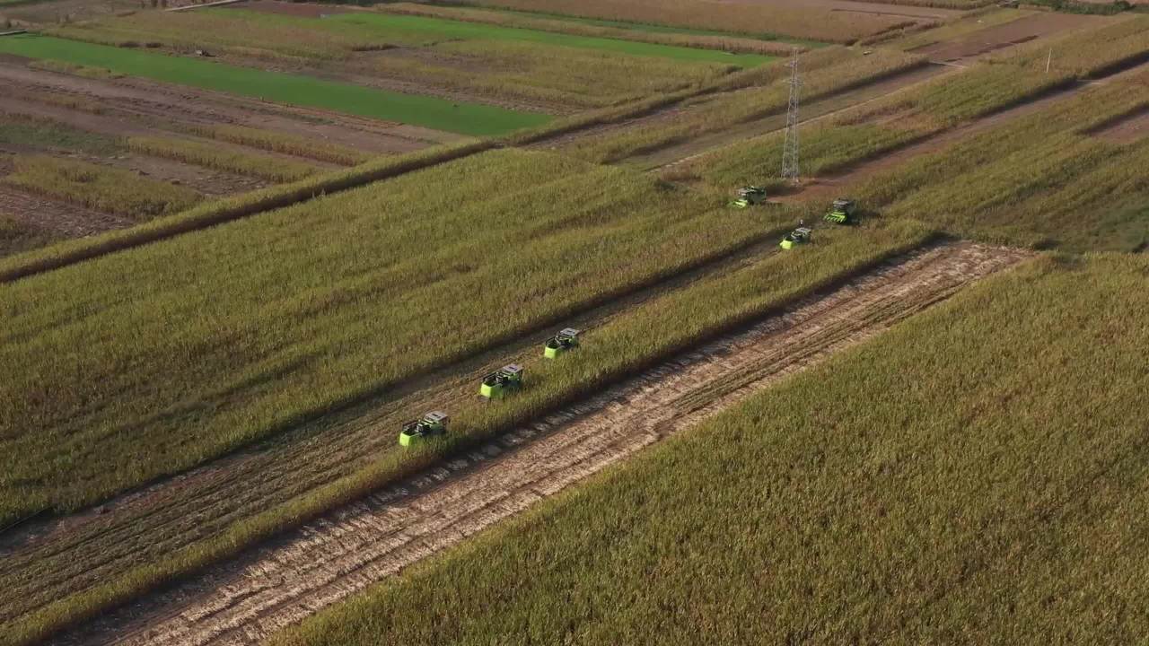 玉米地收割机
