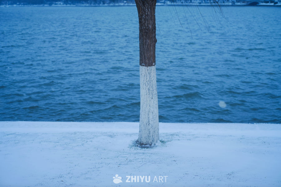 雪中玄武湖