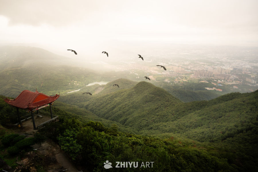 千山鸟飞绝