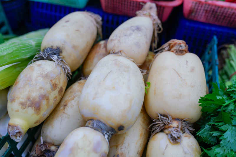菜场的蔬菜 29