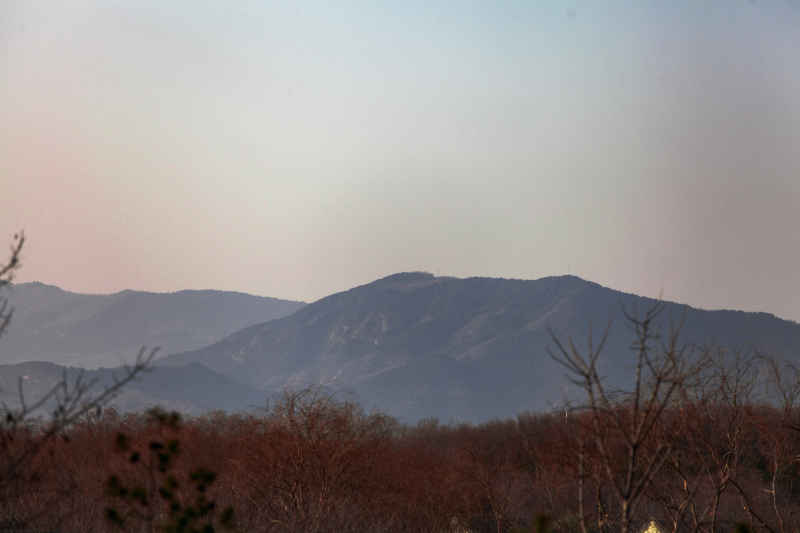 雪后 11