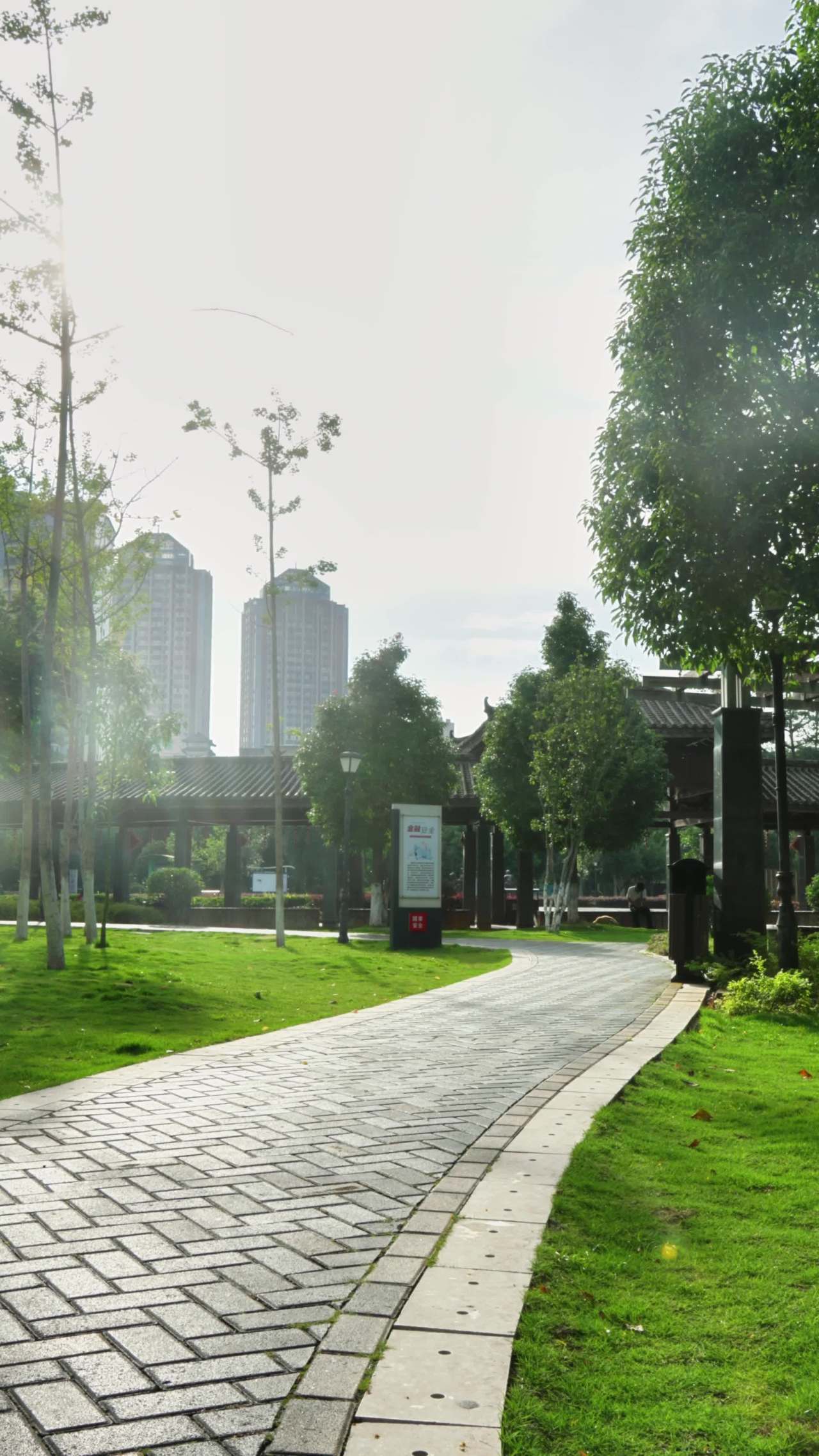 城市中的绿洲公园